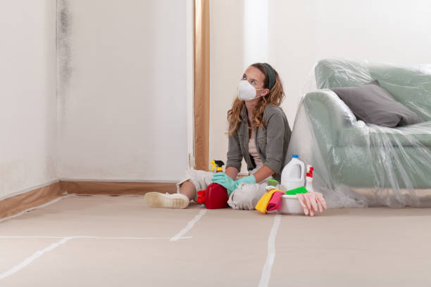 Reliable Basement Mold Remediation contractor in Castalia, NC by WQB Mold Removal